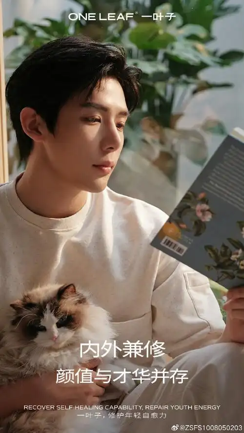 王安宇##一叶子品牌代言人王安宇