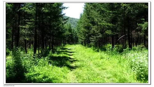 药水峡的色绿魅力