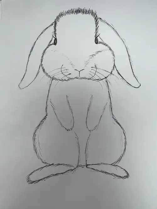 上班打酱油,好想当当啊,好想撸兔子#垂耳兔日常  #萌宠兔子