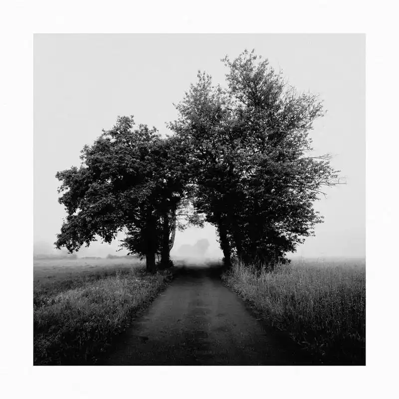 黑白风景头像  #头像 #风景 #黑白系 #黑白 #优质头像 - 抖音