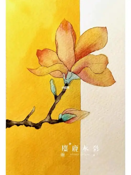 玉兰花麋鹿水彩
