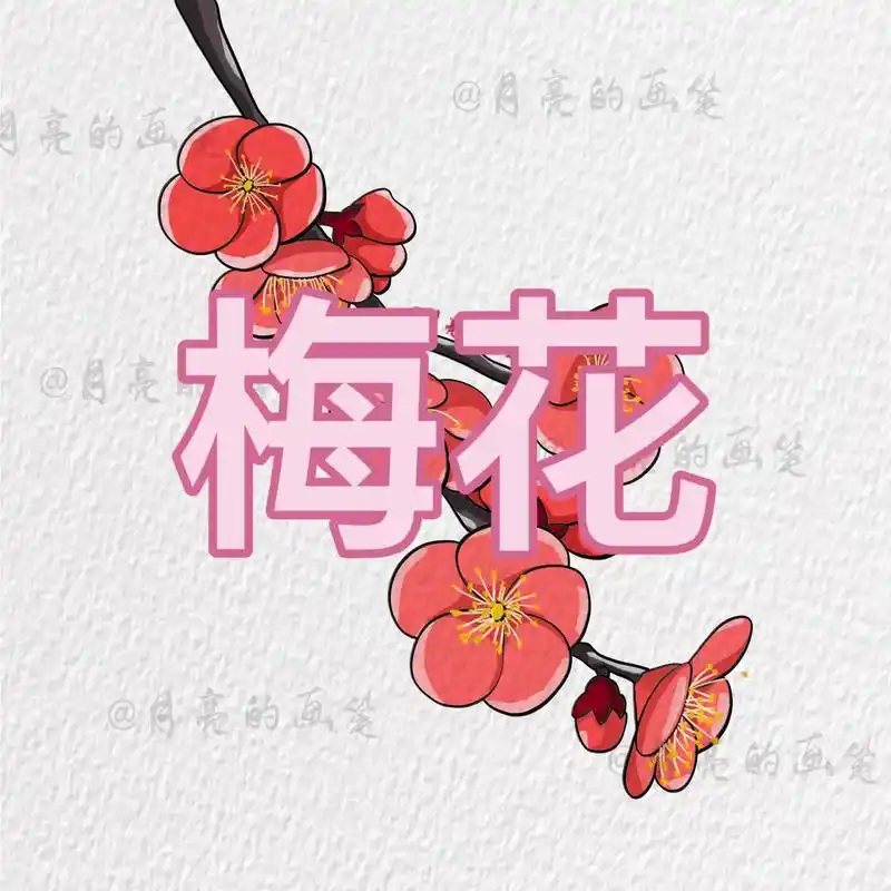 简笔画花卉之梅花.#绘画过程分享 打卡第五十二天#学会快去试 - 抖音