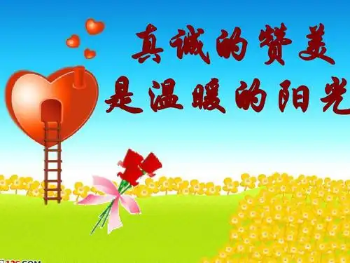 保险专题ppt课件成功 保险赞美的课件