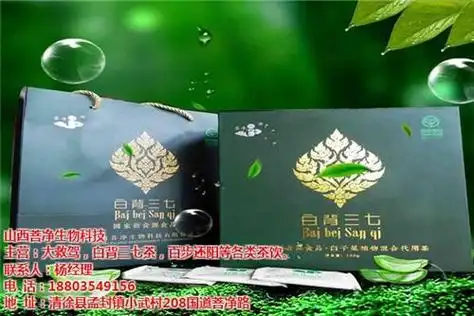 白背三七|山西菩净|白背三七茶功效