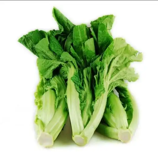 秋季养生菜芥菜,农村的荠菜怎么吃?为什么霜降后的荠菜更新鲜呢?