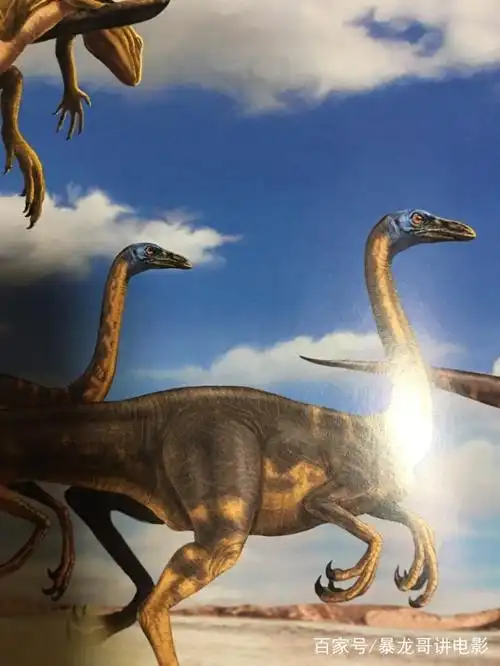 恐爪龙,达科塔盗龙,犹他盗龙,奔龙,窄爪龙 (伤齿龙)这类兽脚亚目盗龙