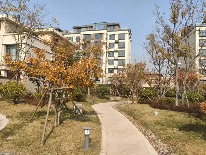 桂花园,青岛路-日照桂花园二手房,租房,房价-日照安居客