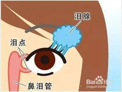 正确滴眼药水的方式