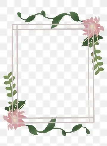 花边边框png透明背景图和向量图素材免费下载 - pngtree