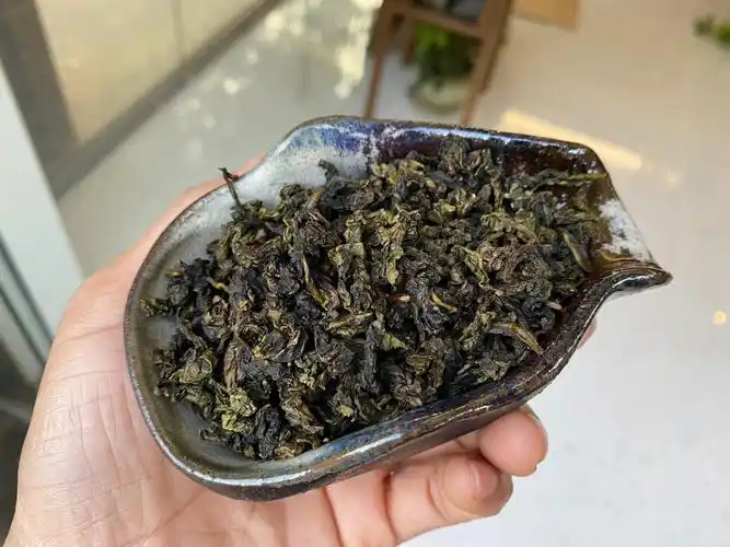 中火炭焙铁观音