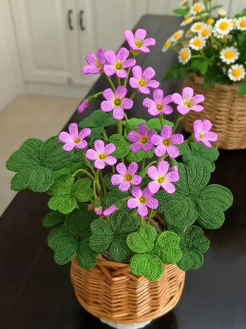 钩针毛线花酢浆草