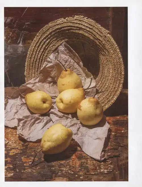 156张 高清素描静物摄影照片 美术生临摹写生绘画训练图片