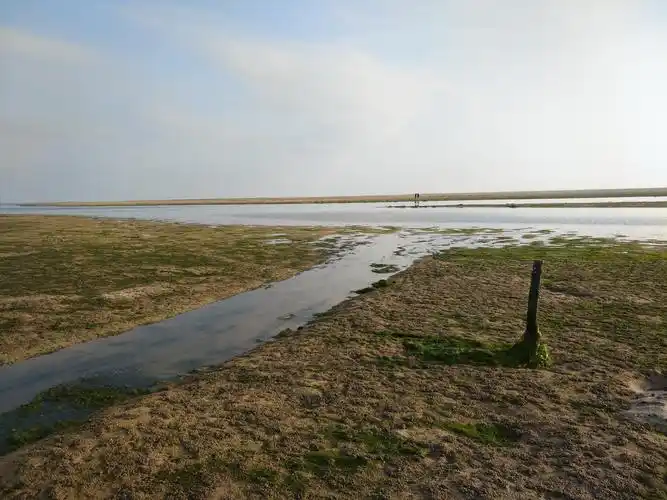 入海口-第2页-手机摄影-vivo官网社区