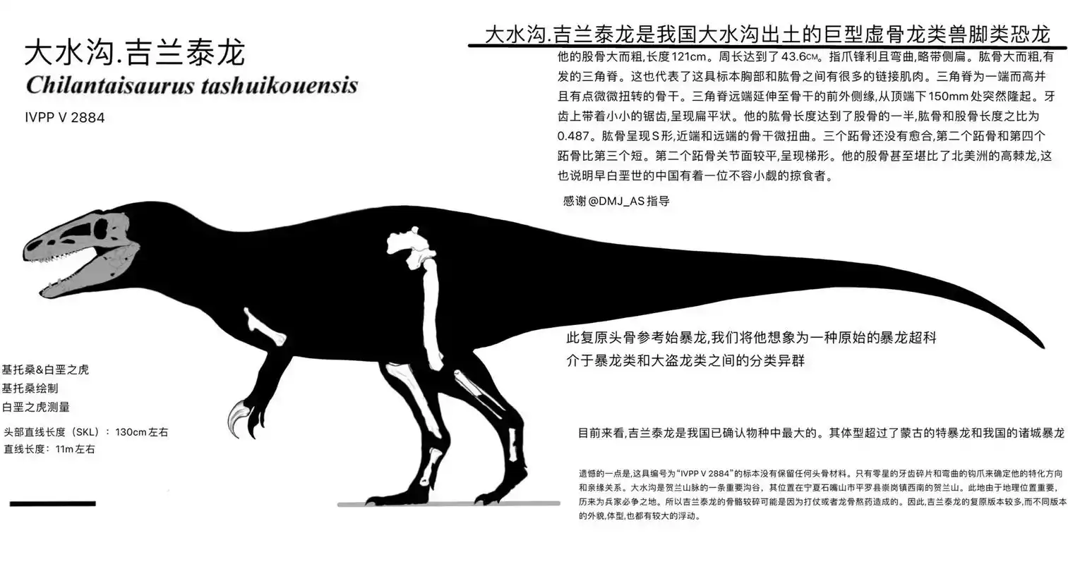 吉兰泰龙对比特暴龙一看头骨就拉垮?图中为我在2022年12月 - 抖音