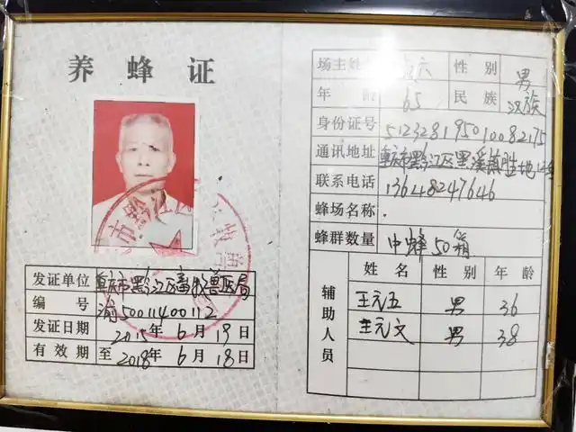 原创|"蜂王"王贞六的"甜蜜事业"_养蜂