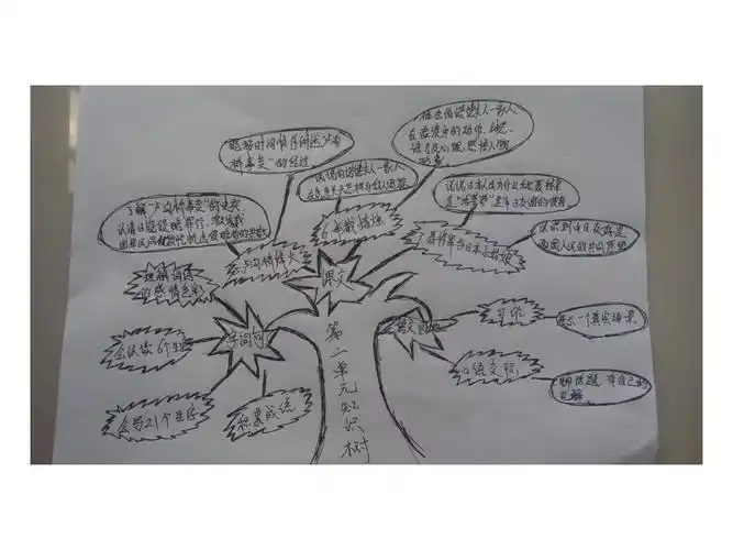 六年级下第二单元知识树2