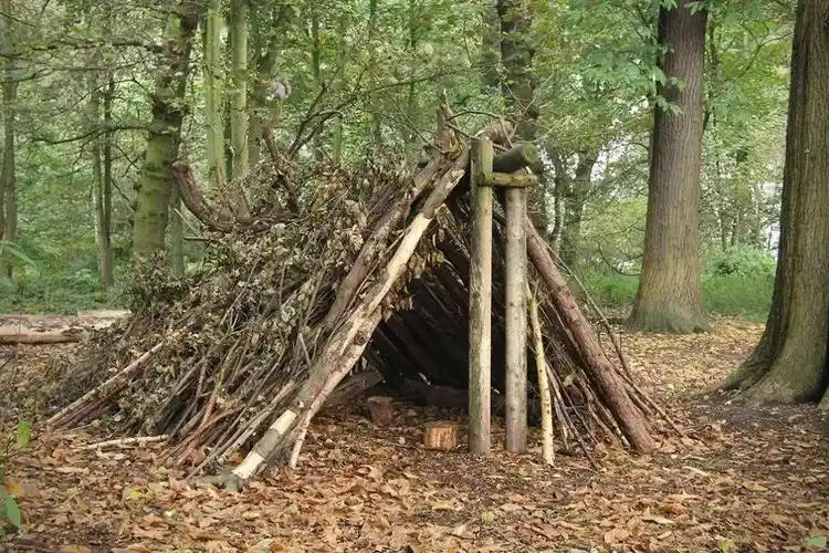 5254荒岛生存探险营双语教学双导师带领环岛勘察捕鱼丛