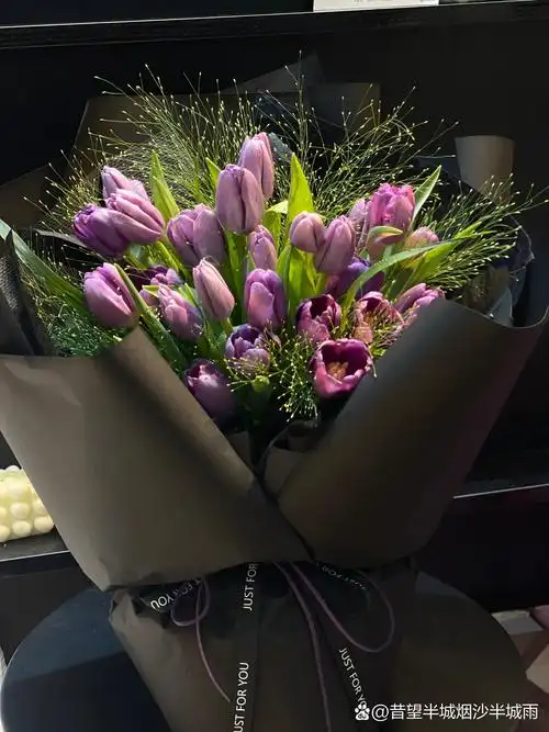 紫色郁金香花束