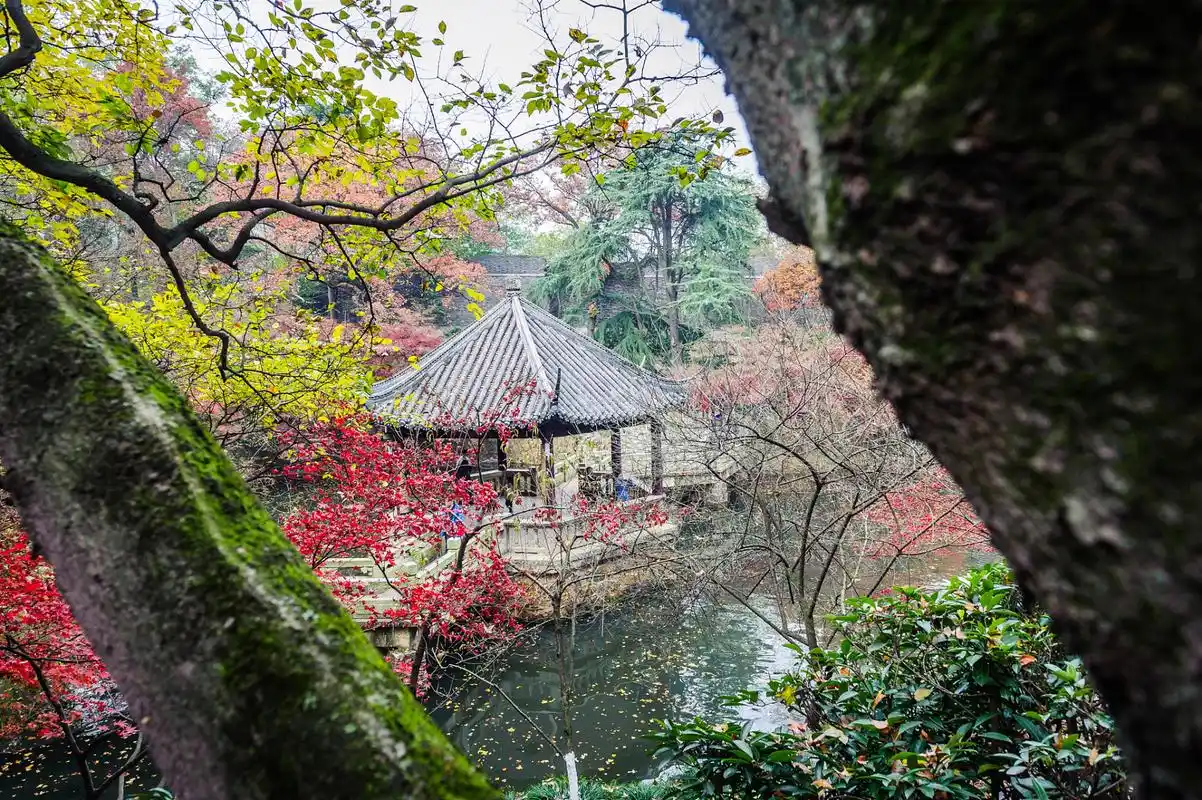 没病没灾,偶尔吃顿好的,偶尔能睡到自然醒,肥嘟