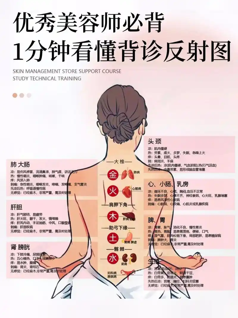 1分钟看懂背诊反射图.#美业手艺人 #皮肤管理 #产后恢复  - 抖音