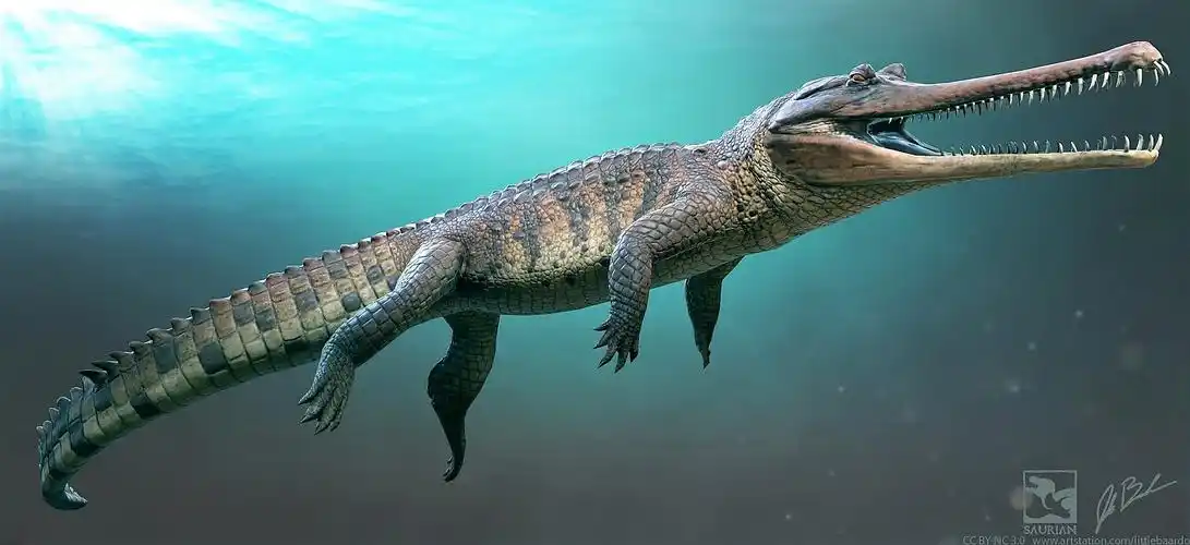 when is a croc not a croc? when its a thoracosaur