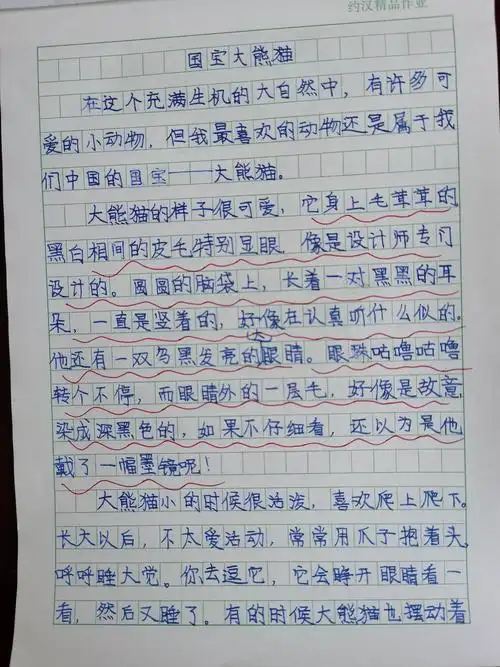 三下记忆(6)棒选作文《国宝大熊猫》