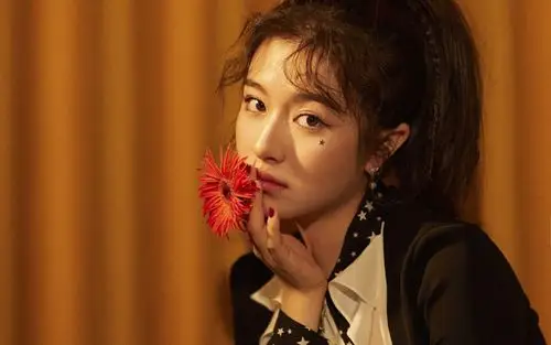 李兰迪时尚性感高清桌面壁纸