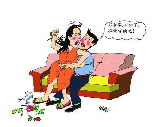 农村夫妻打架的事们