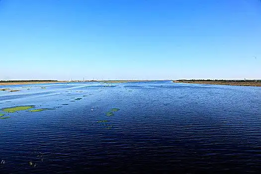 团泊洼天津,团泊湖,团泊洼,湿地,独流减河,天津团泊洼,团泊洼水库天津