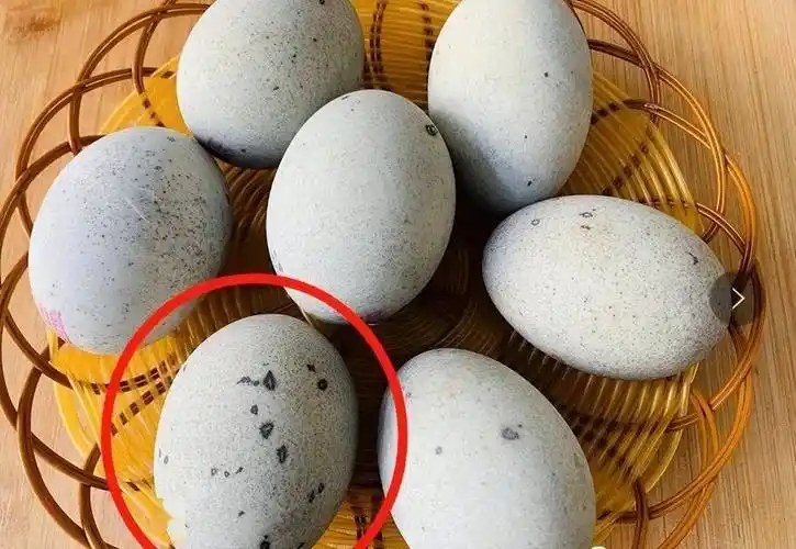 所以,我们在选皮蛋时,看到黑斑较多的就不要买了