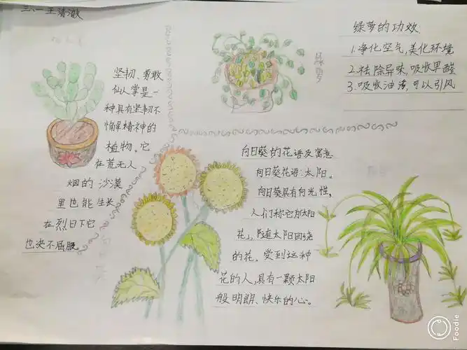 三年级综合实践～ 关爱身边的植物