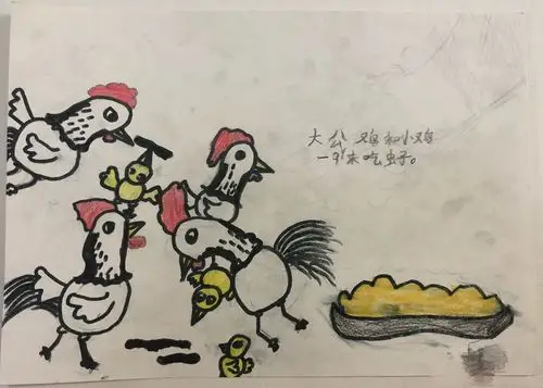 一起吃虫子的大公鸡和小公鸡