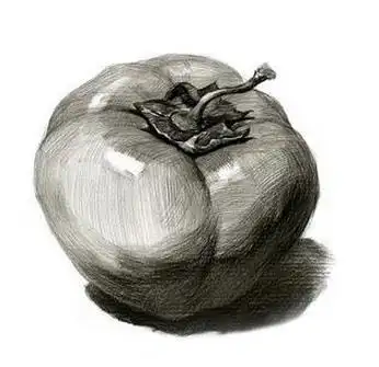 【素描静物】步骤学习,单个临摹,鉴赏