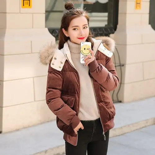 ins棉服女短款2018初冬装新款145