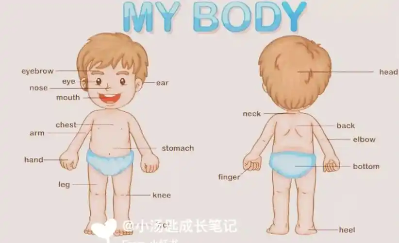 可以搭配 sss英文儿歌head shoulder knee and toes , 日常游戏,跟