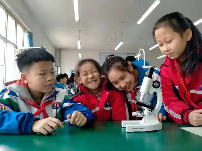 2020.11北岳小学六三班 显微镜实验