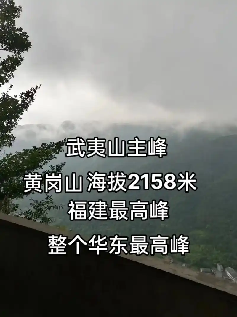 这是我在2019年在福建武夷山旅游拍的照片 - 抖音