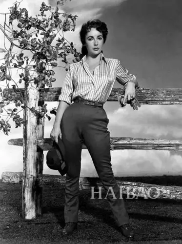 伊丽莎白·泰勒 (elizabeth taylor) 旧照