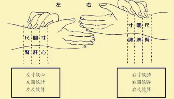 怀了之后手相上有显示 喜脉在左手还是右手