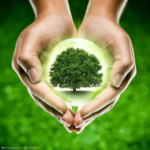 捧在手心的地球树图片