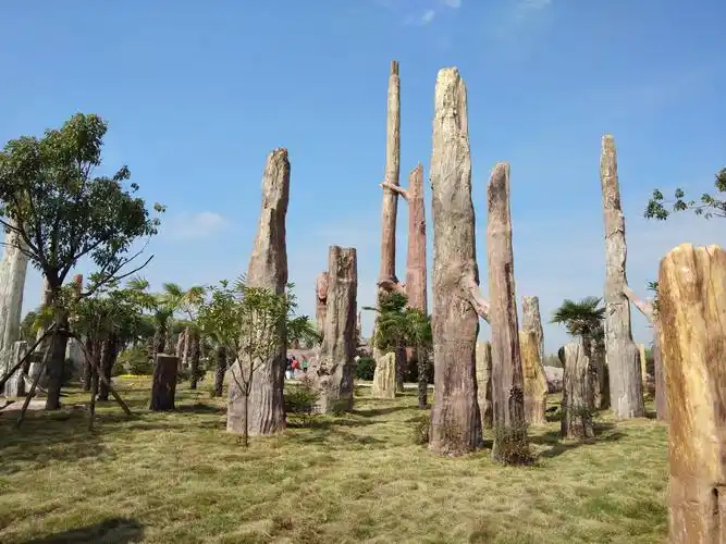 黄石园博园矿博园一日游