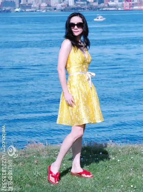 组图:"薛宝钗"张莉容颜不老 30年岁月无痕_高清图集_新浪网