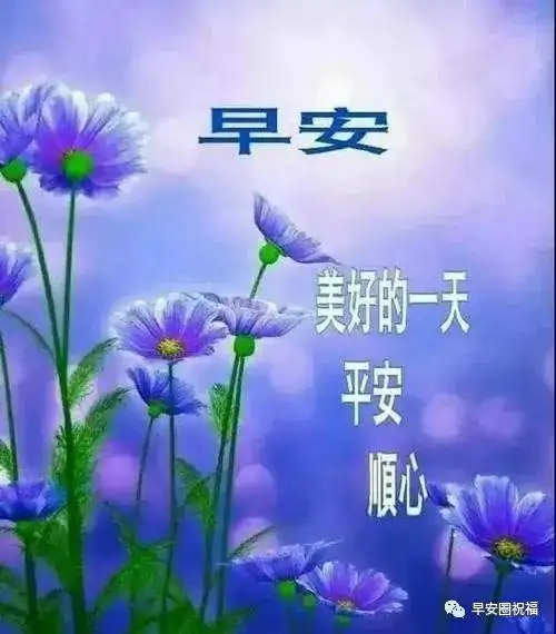 朋友家人早上好美女祝福图片带字,非常有创意的问候早上好漂亮表情包