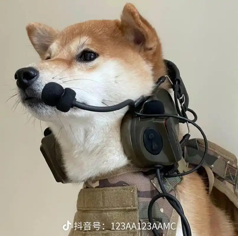 给你们的狗头头像 - 抖音