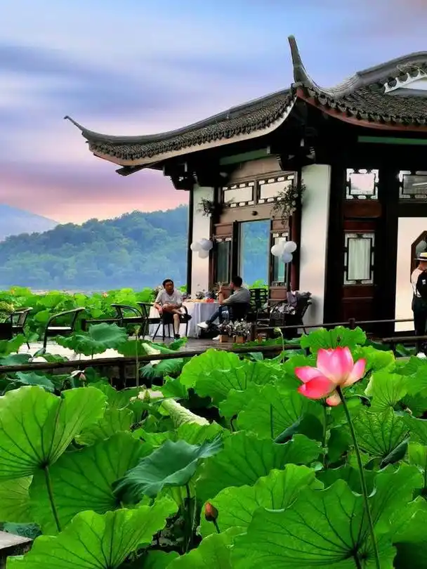 曲院风荷是杭州西湖十景之一,位于西湖西侧,岳飞庙前面.车佳康丨摄