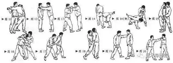 反擒拿训练秘法_对方_左手_右手