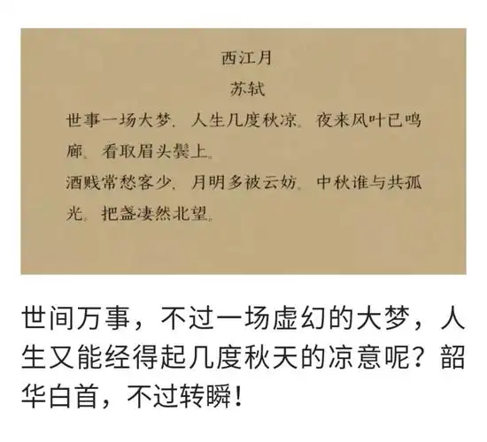 苏轼经典诗词精选