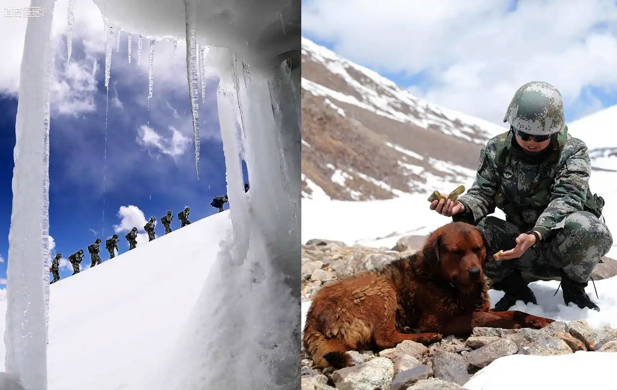 真帅!边防战士巡边吃冰粽 大黄犬一脸嫌弃