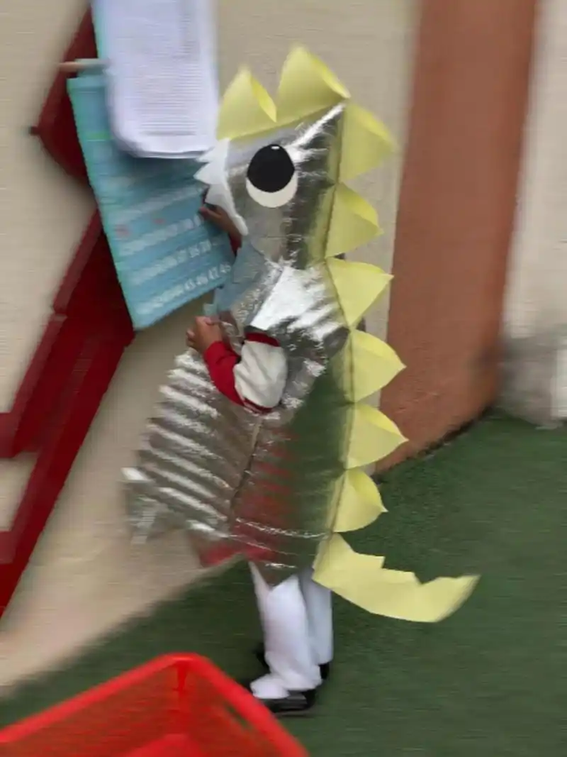 自制儿童恐龙装(环保时装)(表演服装) 准备材料:铝膜保温袋,卡纸,双面