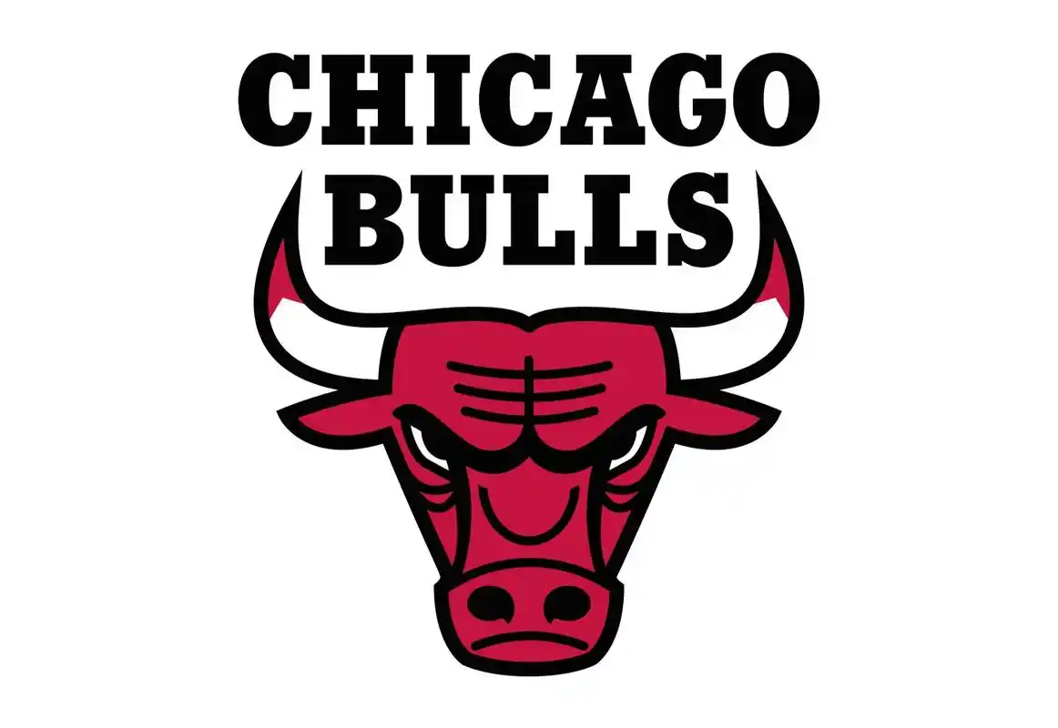 nba战报:武切维奇18 16 6 怀特18分 格拉汉姆16分 公牛轻取黄蜂